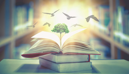 河北金融学院中外合作办学是几本